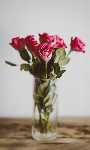 annie-spratt-568661-unsplash.jpg